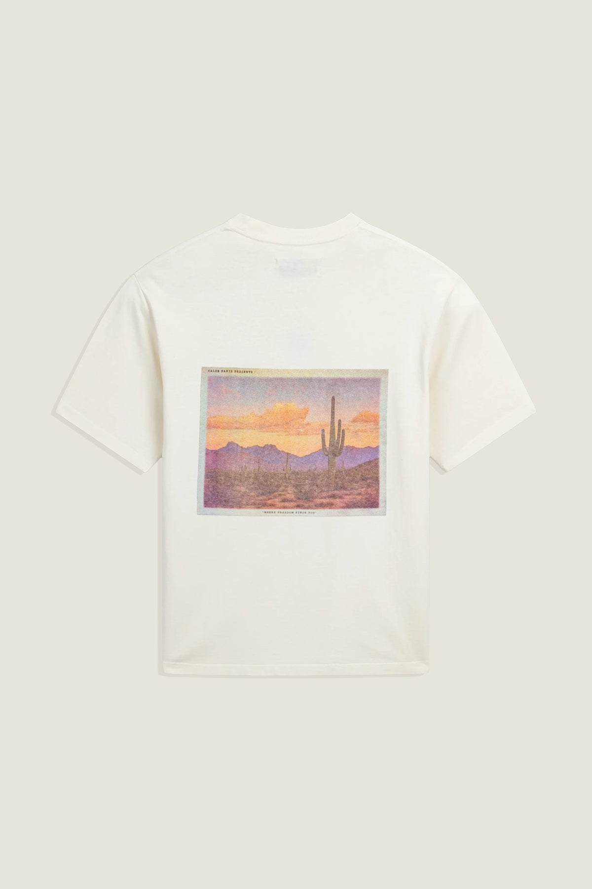 T-shirt Desert Print