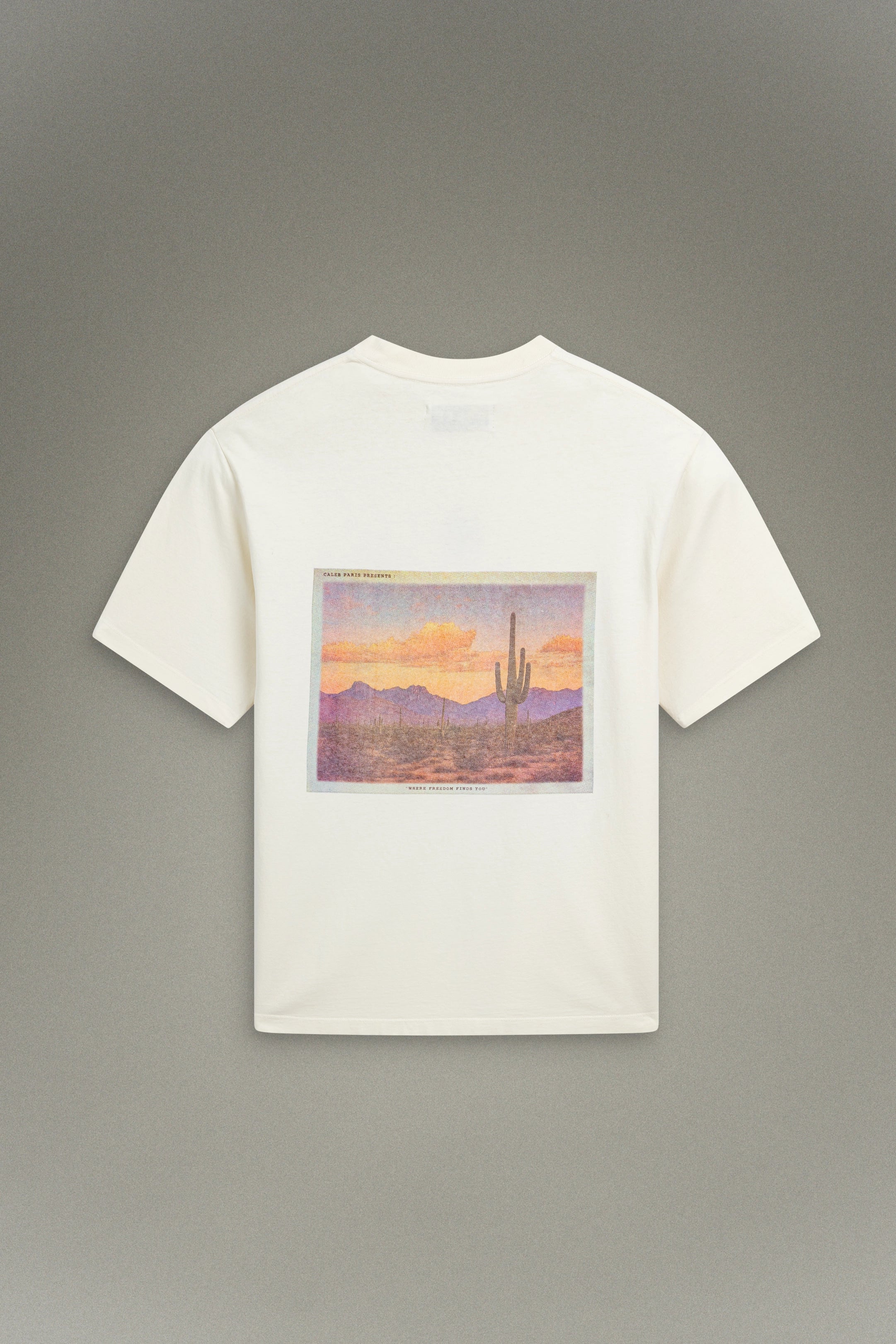 T-shirt Desert Print